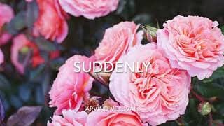 Suddenly